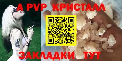 амф Донской