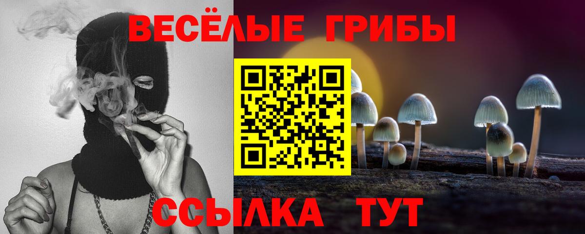 Псилоцибиновые грибы мицелий Муром